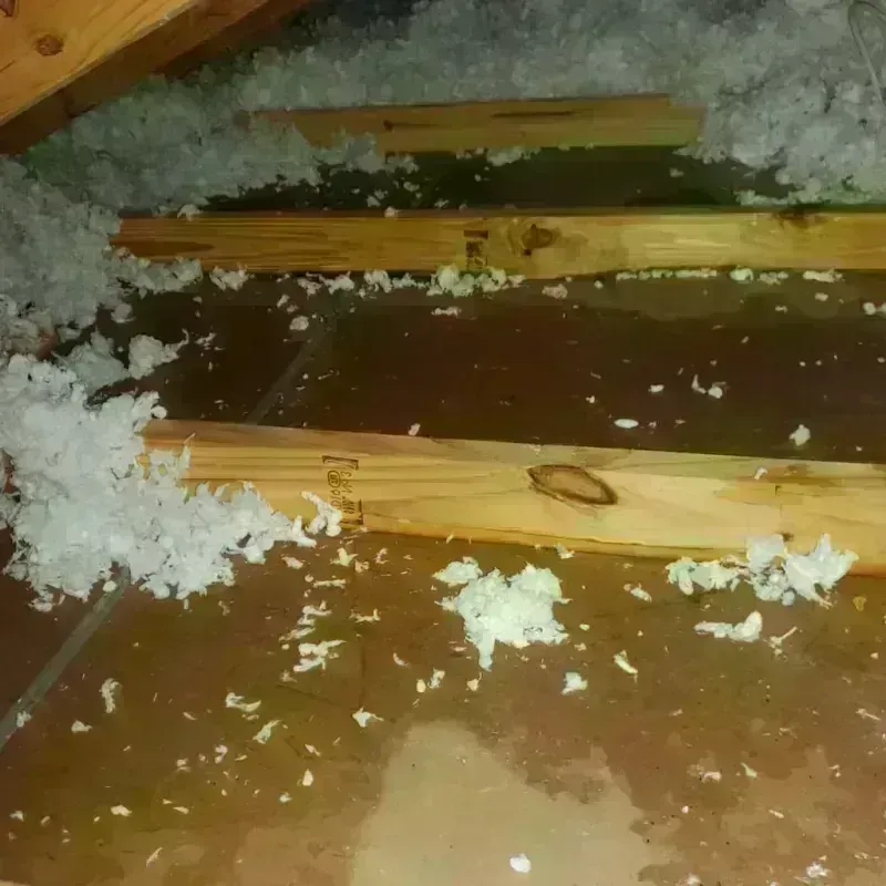 Attic Water Damage in Lakeland, NY