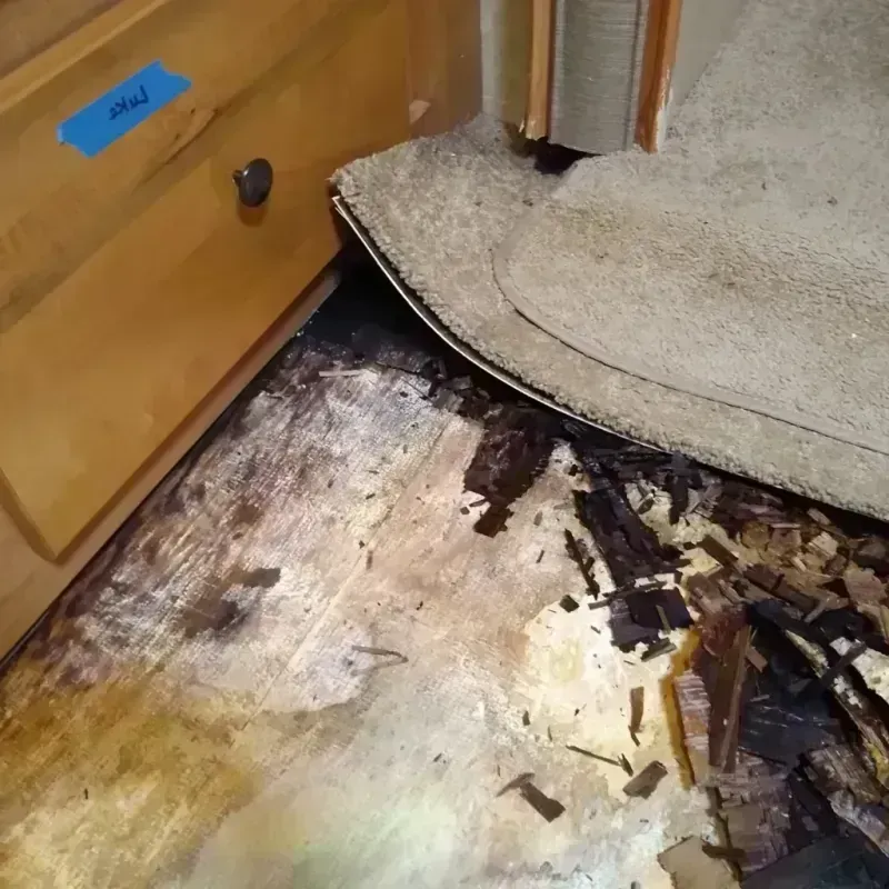 Best Wood Floor Water Damage Service in Lakeland, NY